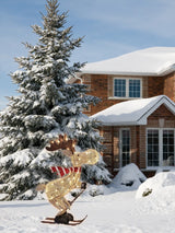 A collection of lighted skiing reindeer Christmas yard decorations with LED lights, displayed in both indoor and outdoor settings.